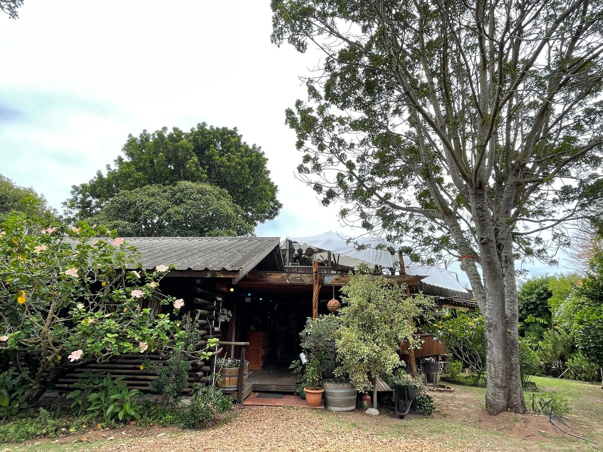 Rustic family log cabin