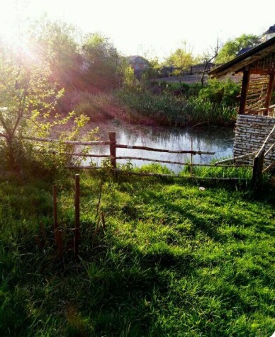 Comfortable room in Ivankov, Kyiv region