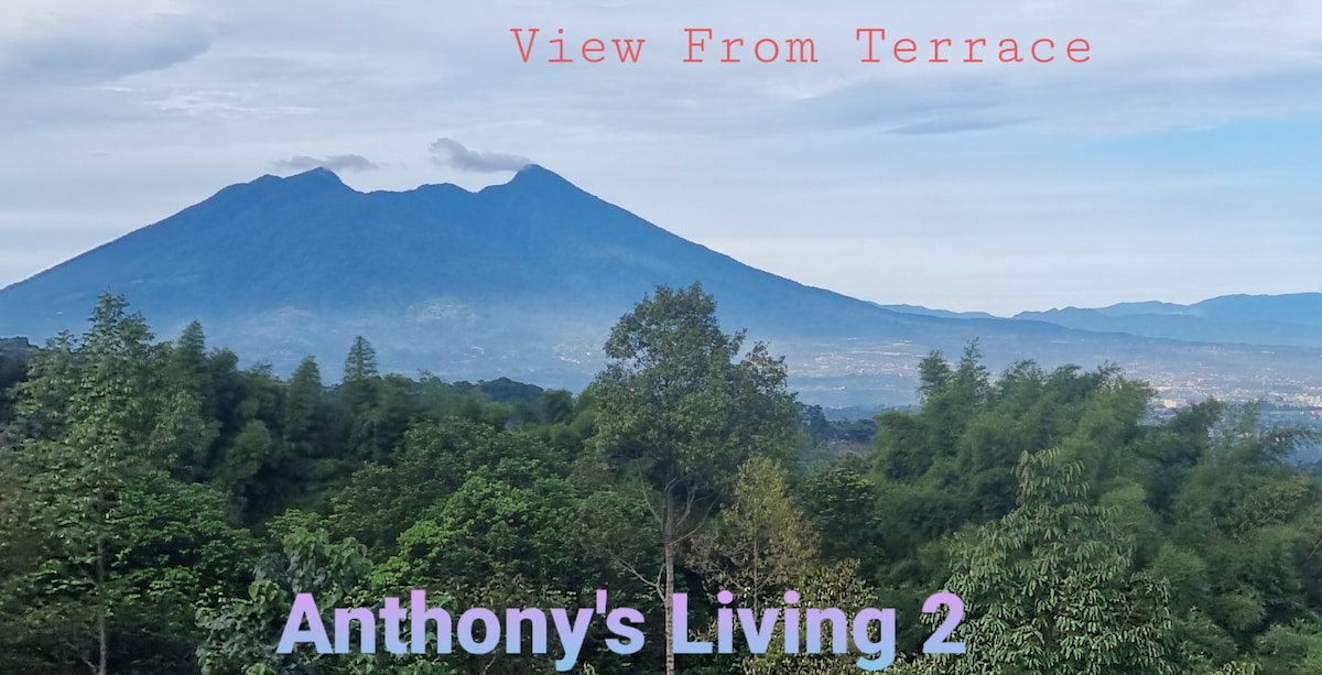 Anthony 's Living 2