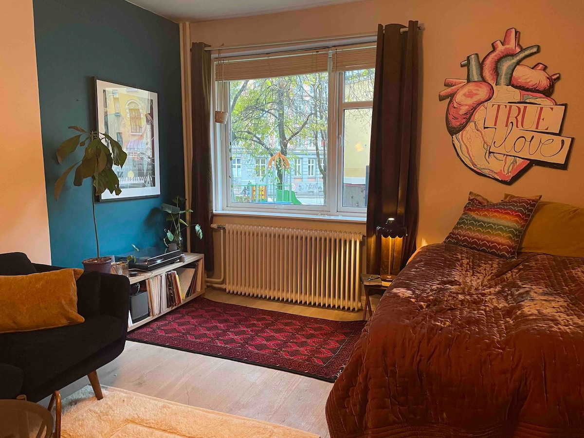 彩色房间，艺术公寓， @ Tøyen ，奥斯陆市中心
