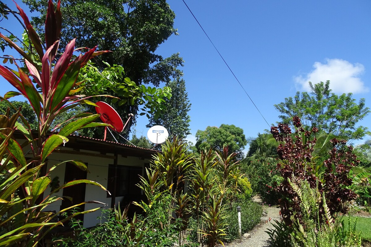 Casas los tucanes, Gemela公寓