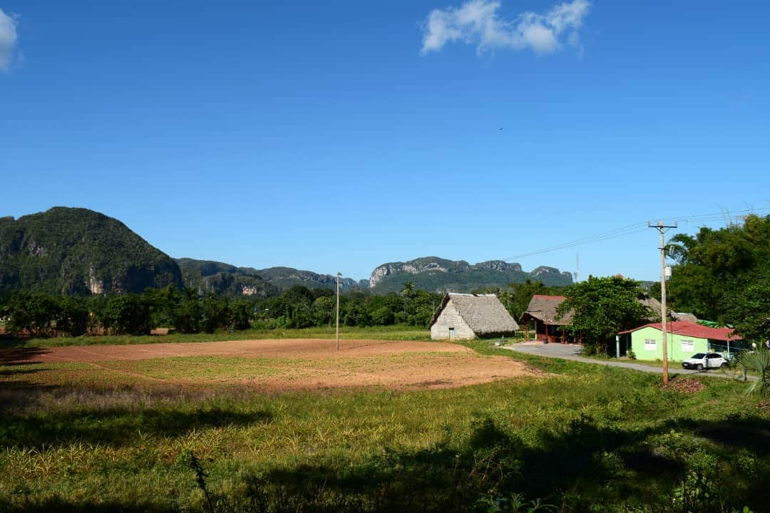 Casa del Veguero/Veguero 's House