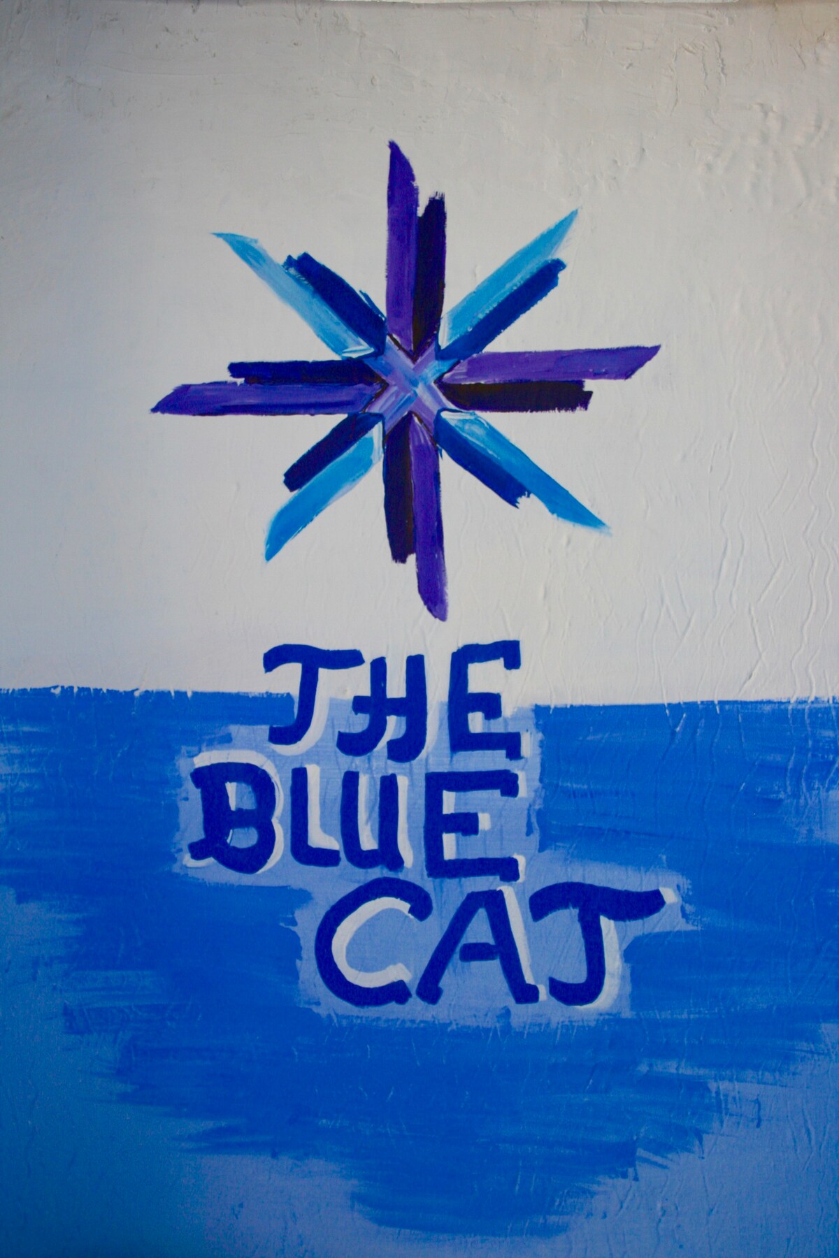 蓝猫（ Blue Cat ）