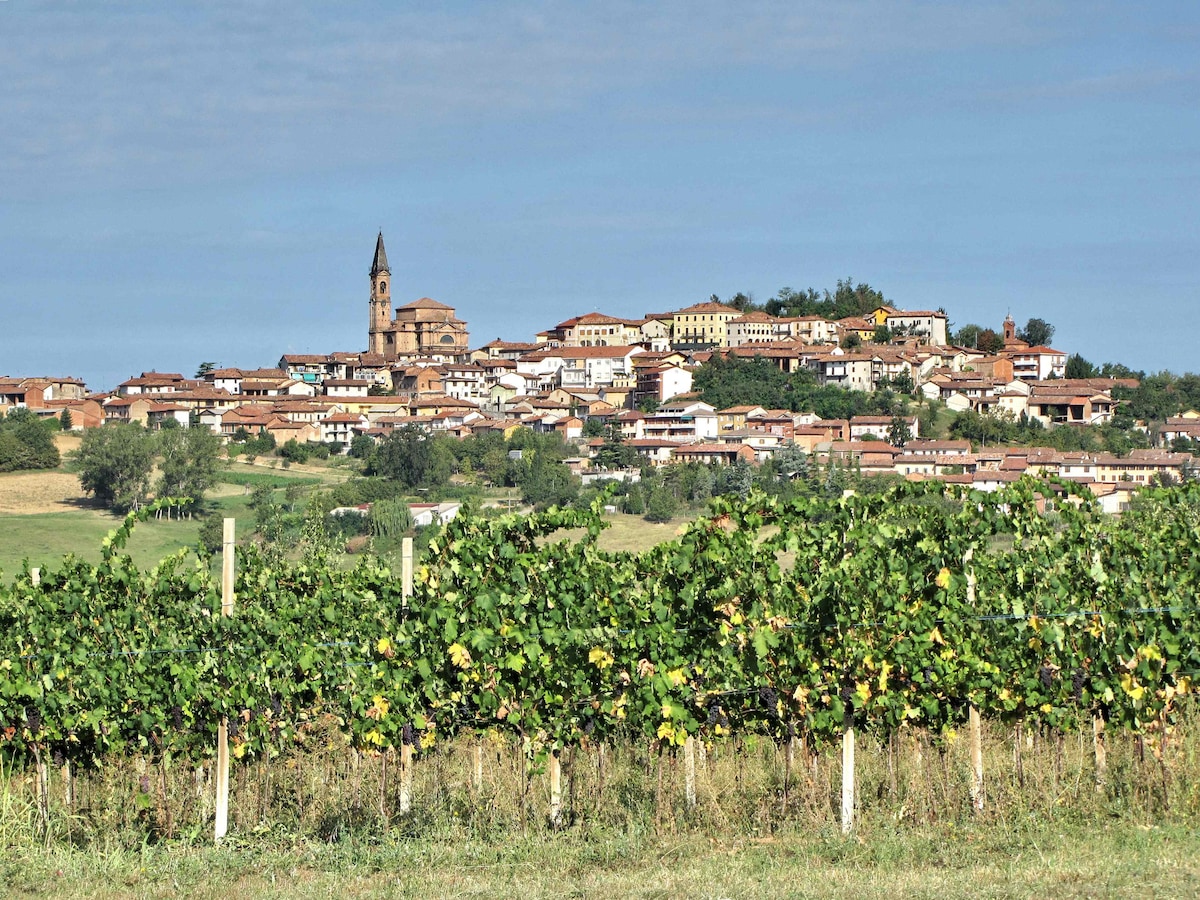 LE GINESTRE - TONCO MONFERRATO （ AT ）