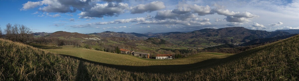 AGRITURISMO AL MONTE （丹尼斯）