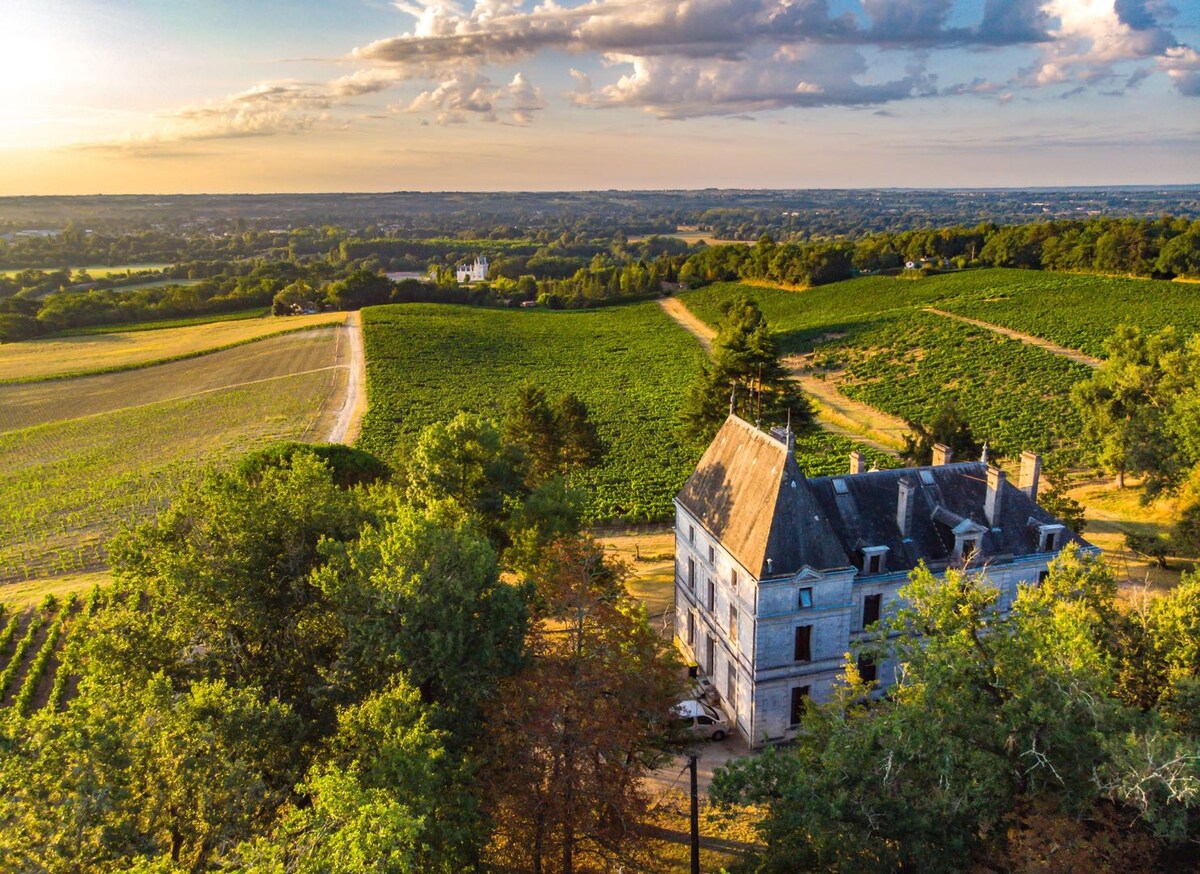 Magnfique château, belle vue de vallée d'Isle