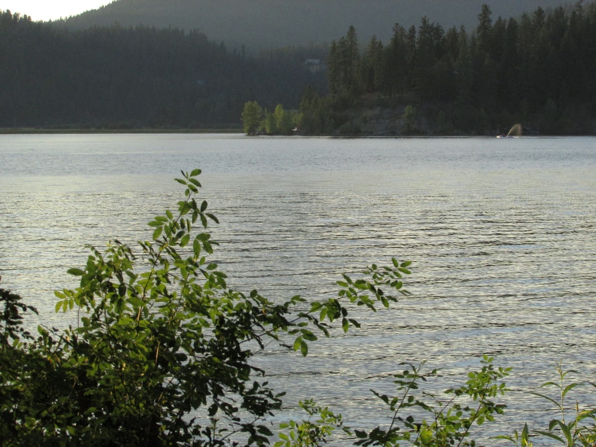 Cozy cabin on Hauser lake