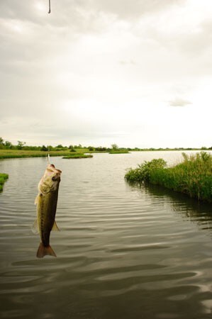 HATFIELD LAKES ！ ！私人湖畔私人小屋！