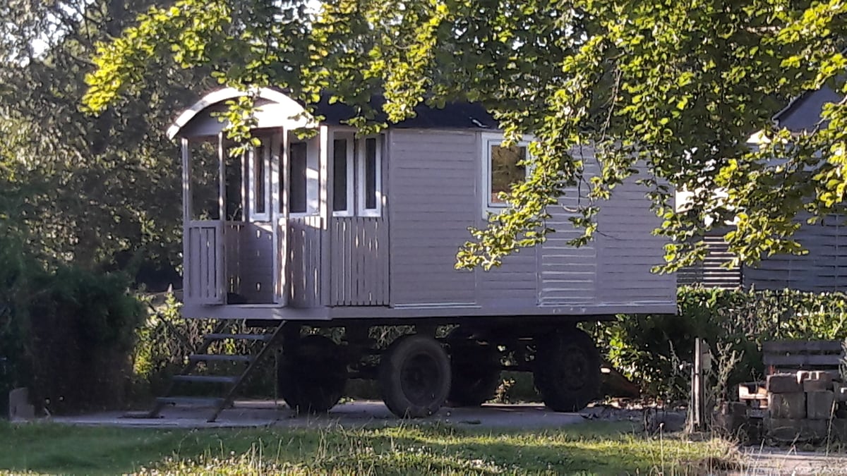 Schäferwagen-Wildwuchs-Natur-Ostseerad-Strasse