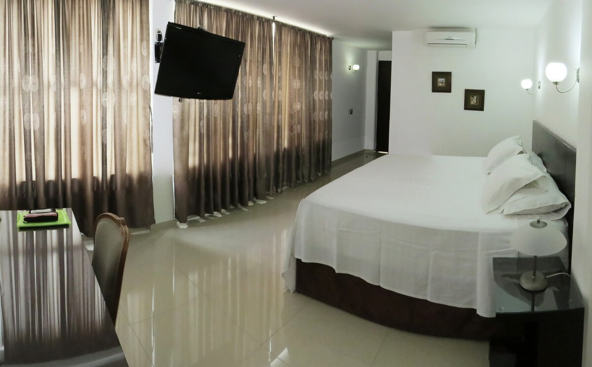 Estrella Palmira酒店1间卧室1 ， 206 ，带空气