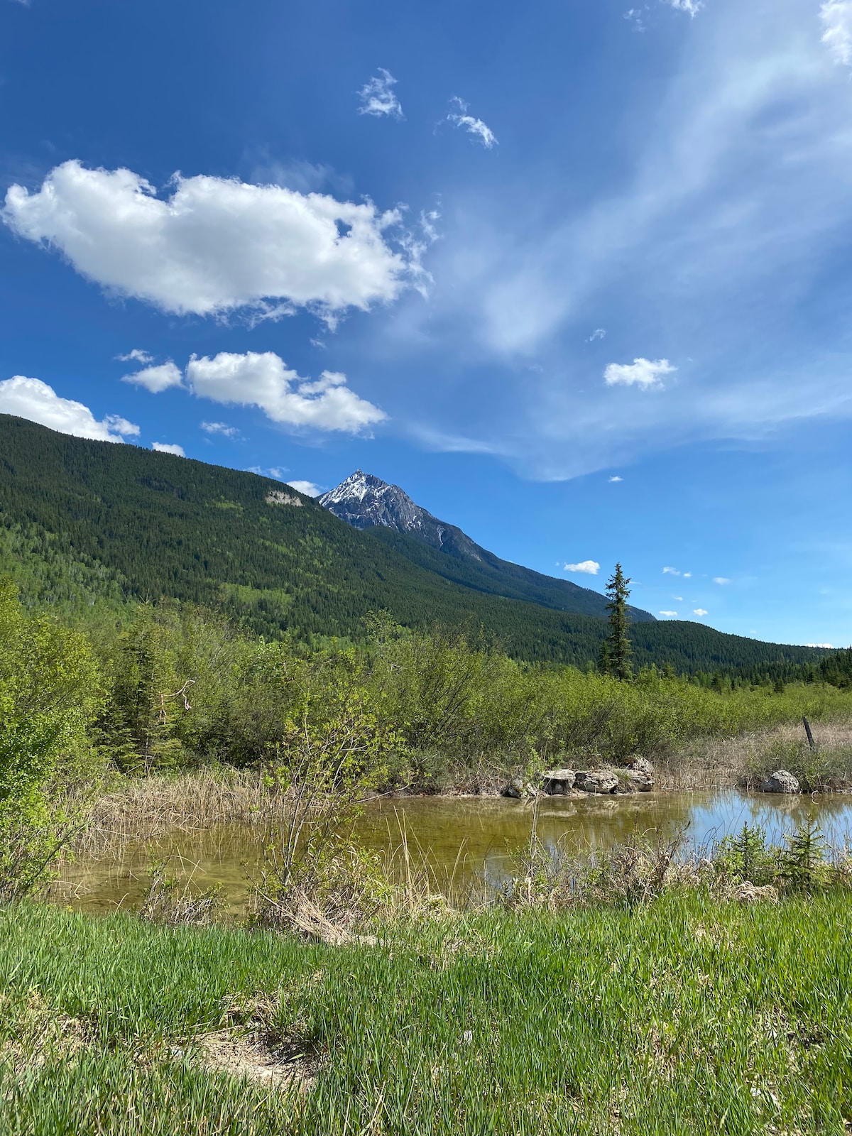 Blaeberry Bungalows ， Sandhill Crane Cabin