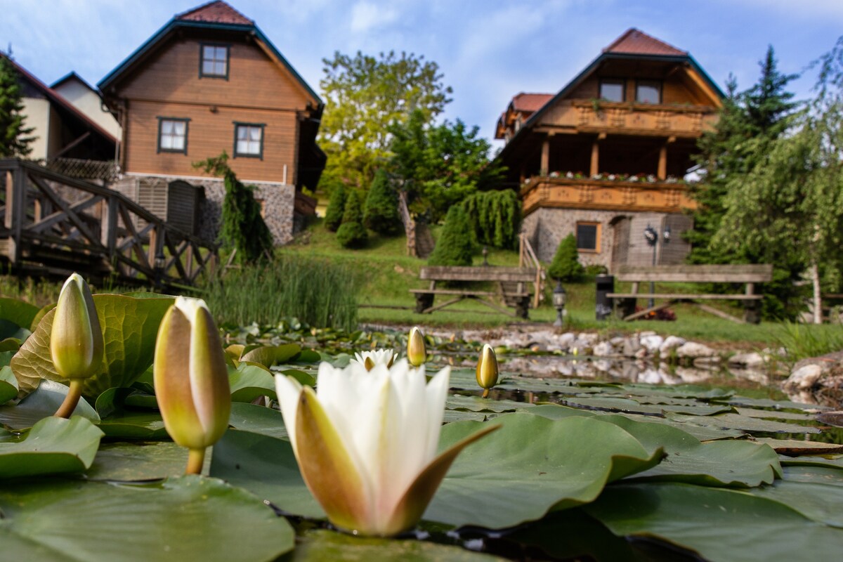 Apartments & Wellness Korošec | Yellow Apartment