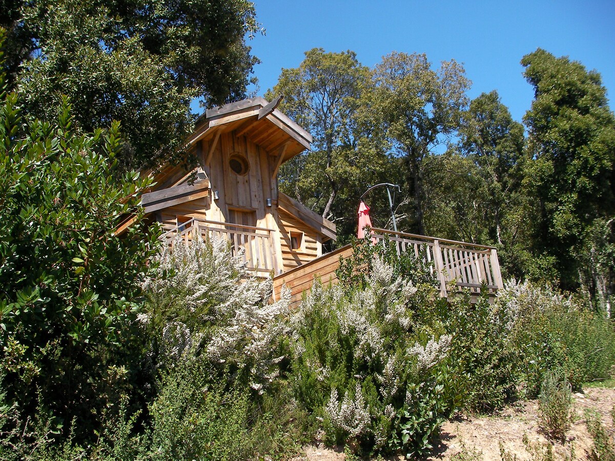 cabane sur pilotis écologique 2