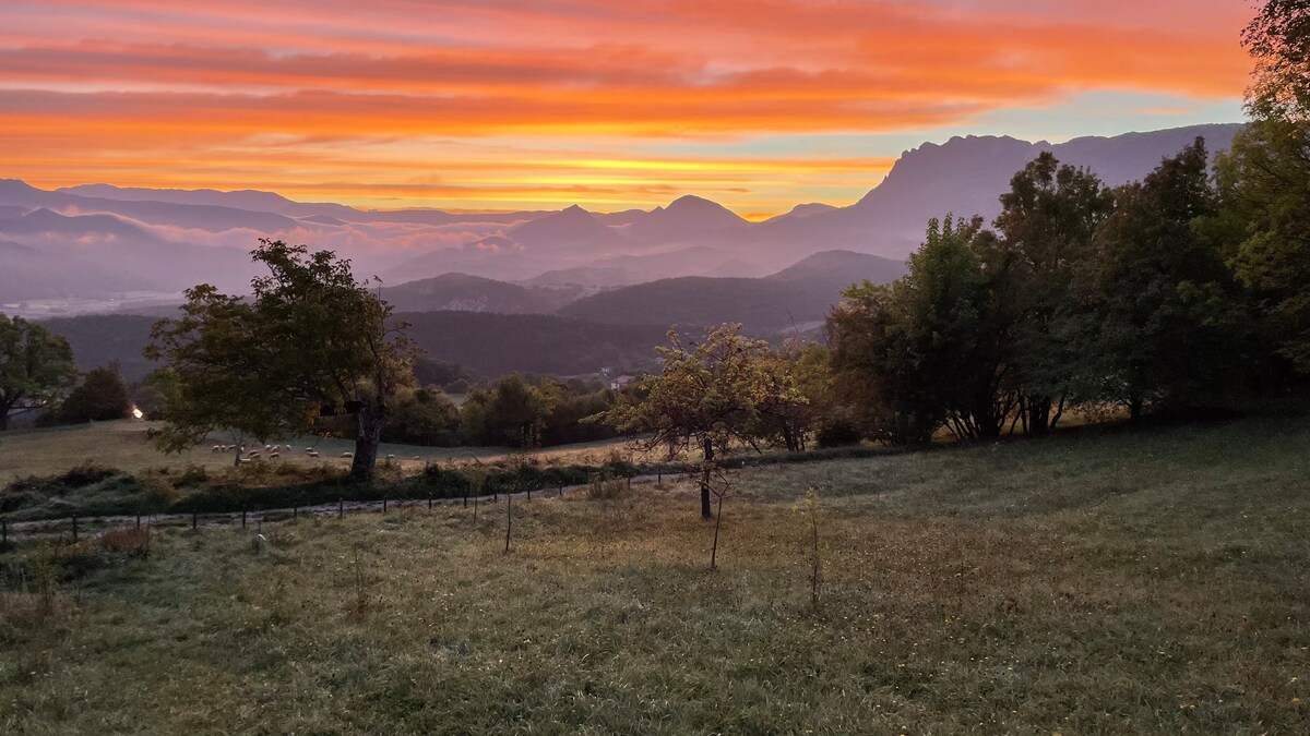 Gîtes du Puyjovent - Côté Forêt