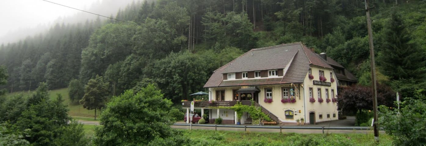 Bad Rippoldsau-Schapbach的民宿