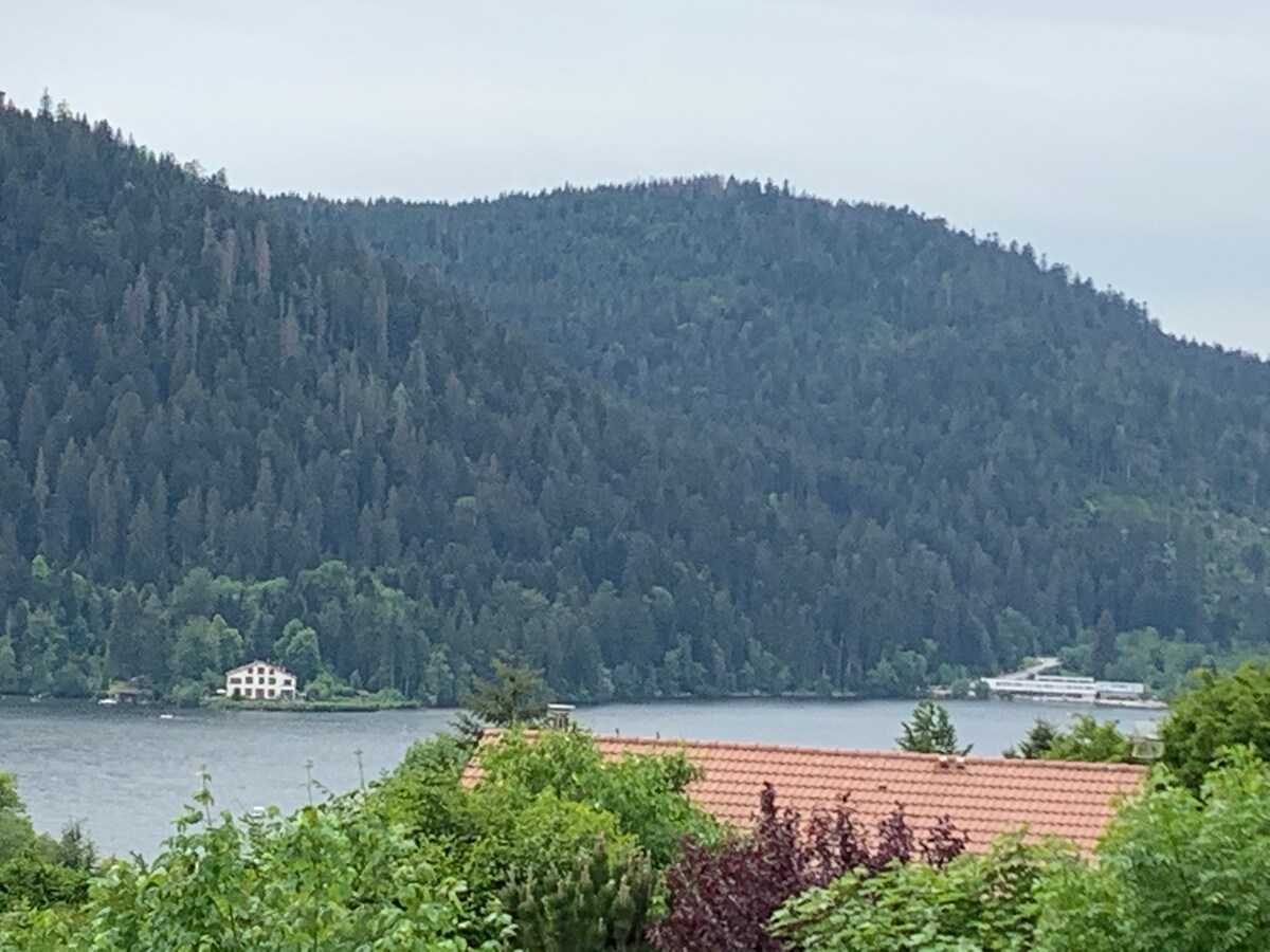 le chalet de Juliette proche lac et centre