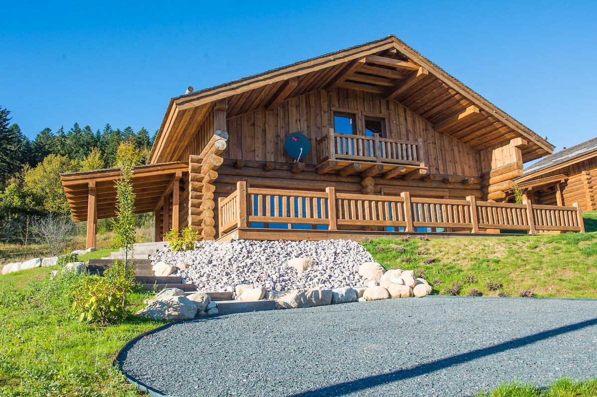 Chalet Serenity ，靠近Gérardmer 9p - SPA