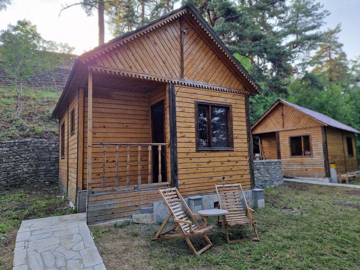 Cottage in the Forest