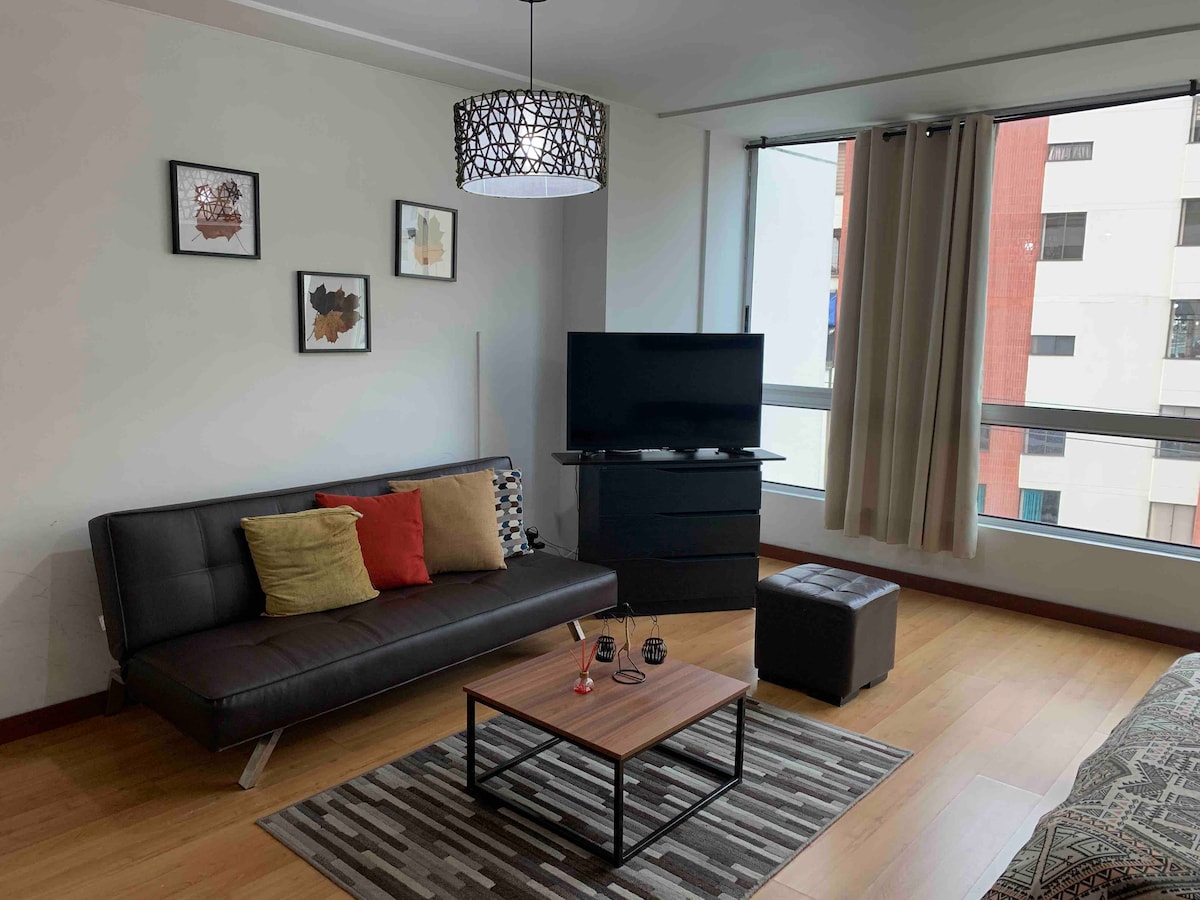 Beautiful Furnished 1 Bedroom Loft Apartment