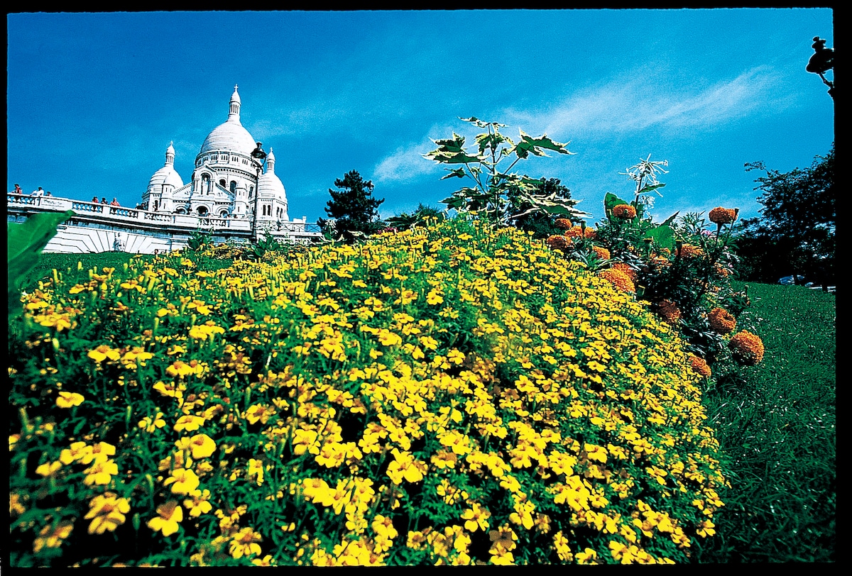 关于Montmartre Sacré-Coeur的描述