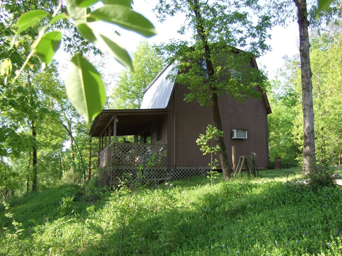 Enchanted Cabin-Seasonsal View of Ouachita River