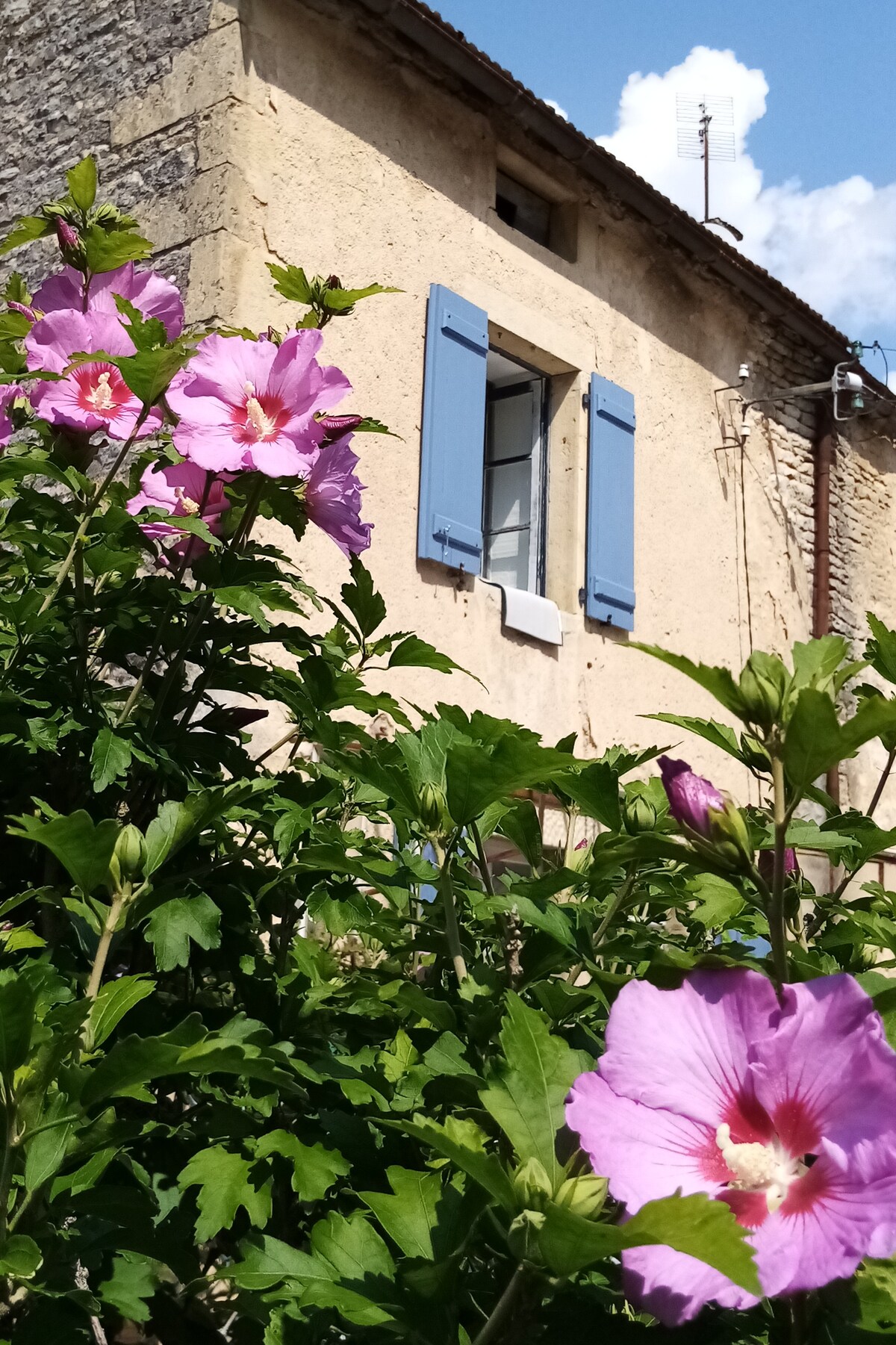 Le gîte du Lapin Bleu