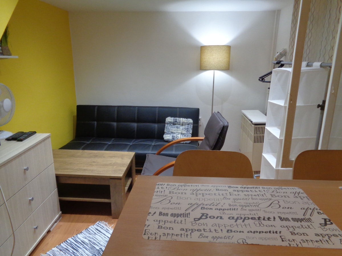 地理位置优越，舒适的单间公寓Istvan