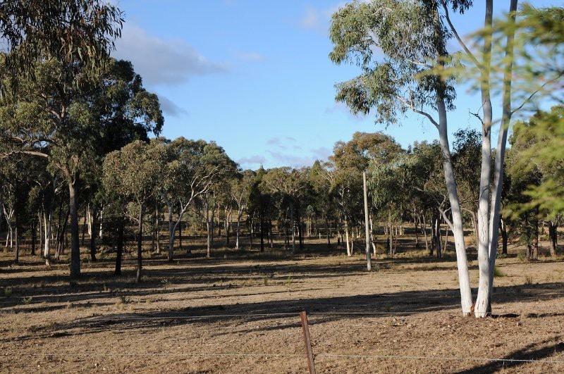 Black Pines Farm Estate