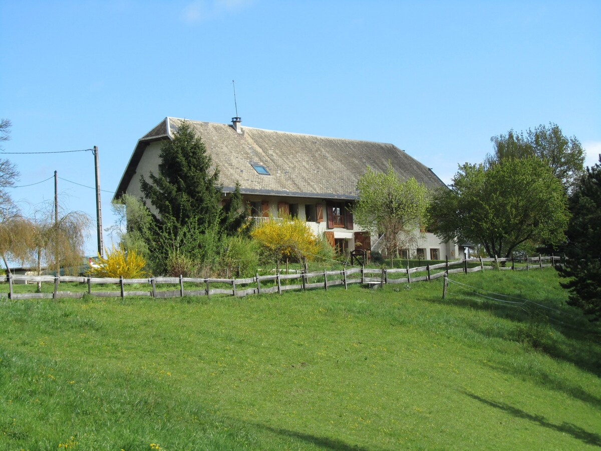 Gîte La Tarte Qui Flette