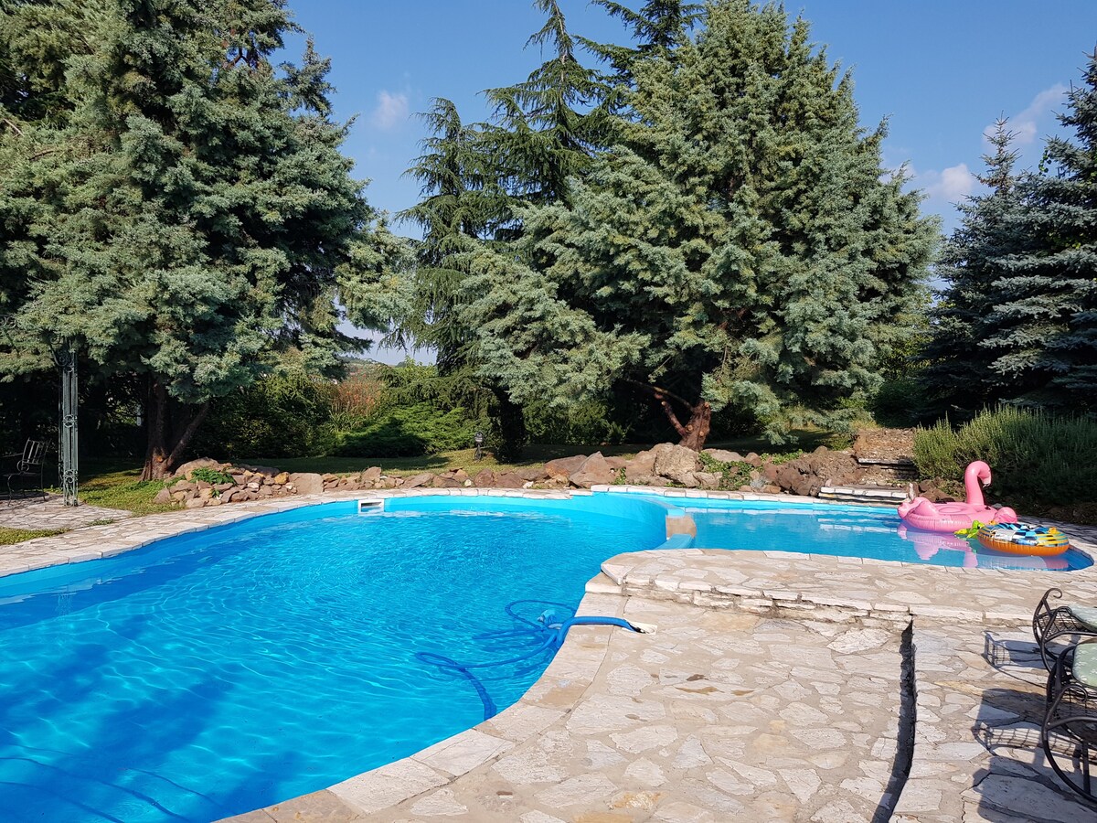 波波维察（ Popovica ）❤的带泳池的小天堂
