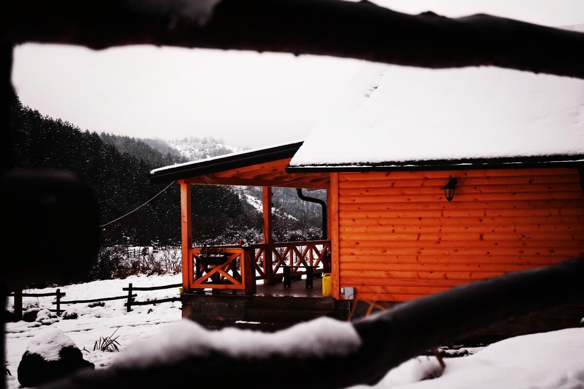 度假屋/小屋Ljubboještina Vidaka