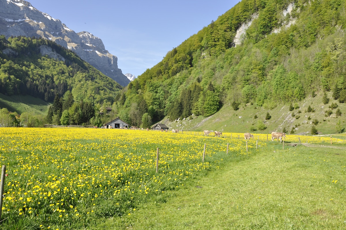 Experience Auen (Swiss unique mountain landscape)