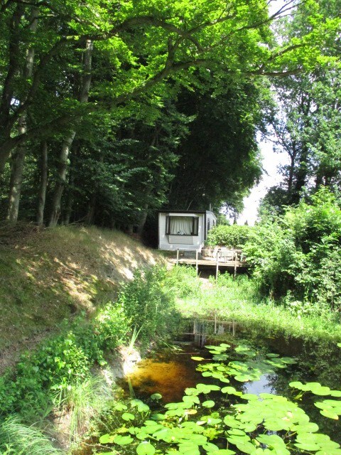 森林池塘的漂亮度假木屋！