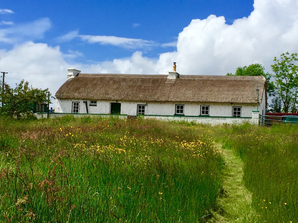 Cosy Thatched Cottage nr Coast: Log Stove, Paddock