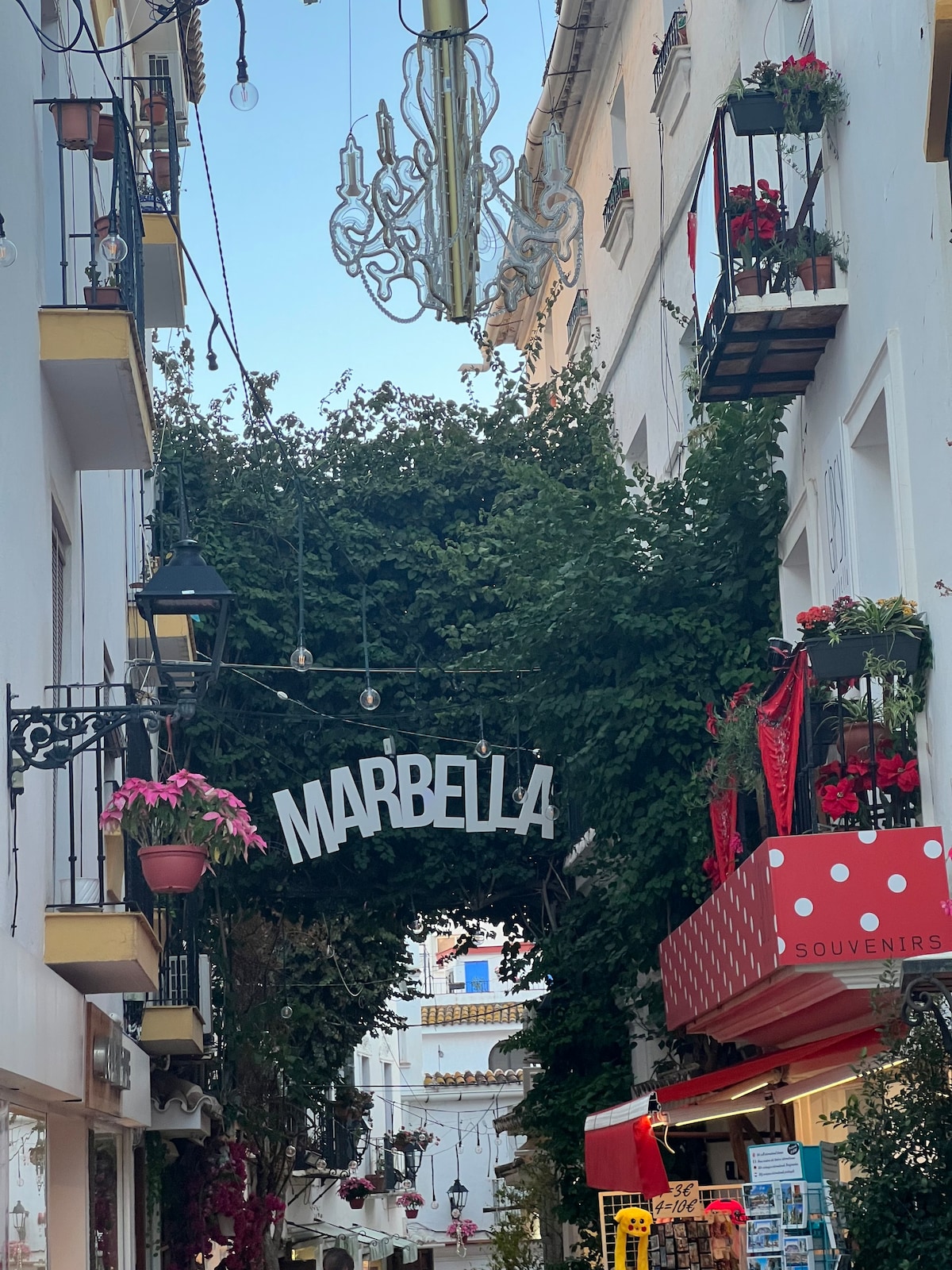 Marbella Village |带共用露台的单间公寓