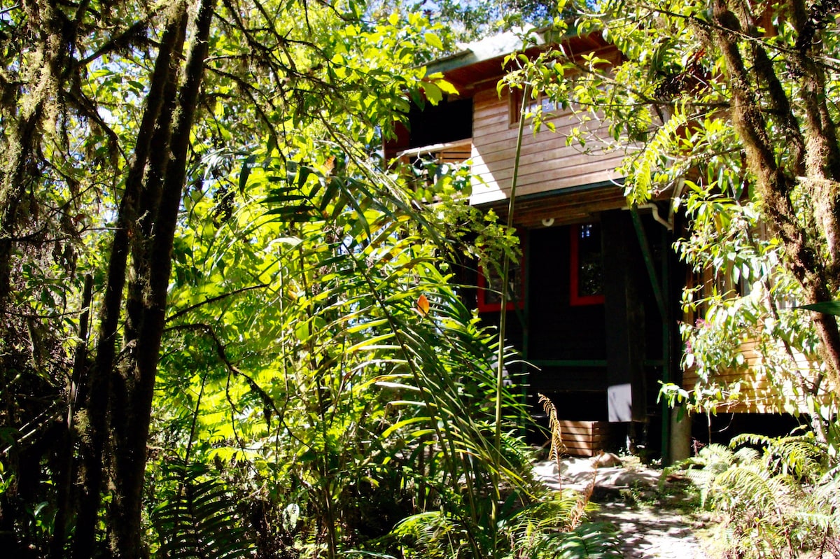 Unique eco friendly cabin in mid cloudforest