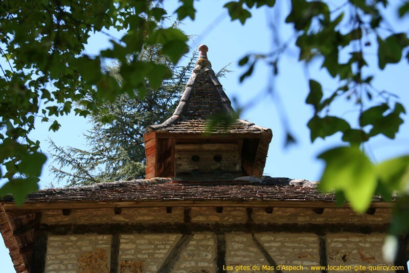 Mas d 'Aspech鸽子树不寻常的小屋Quercy