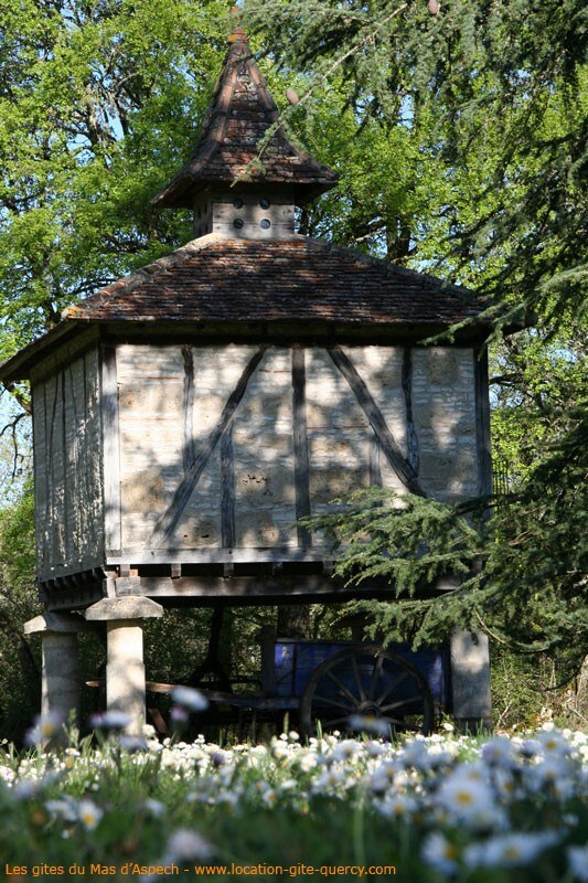 Mas d 'Aspech鸽子树不寻常的小屋Quercy