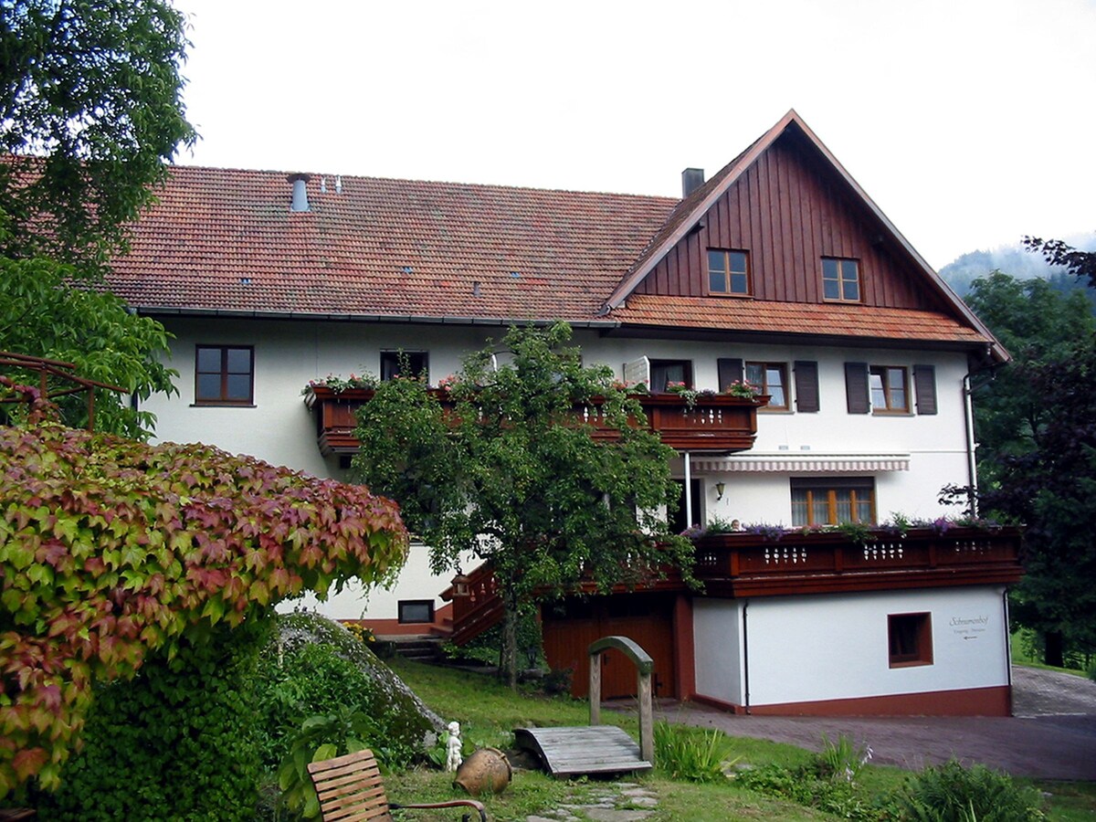 Schnurrenhof, (Seebach)