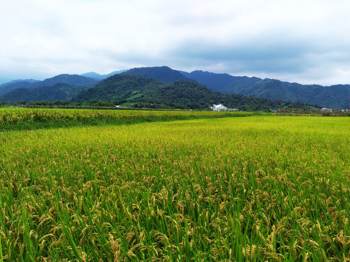 小家碧玉 Yiland farmhouse（2人，只專屬接待女性房客Ladies only）