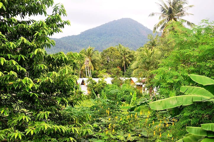 Ko Pha-ngan sub-district的民宿