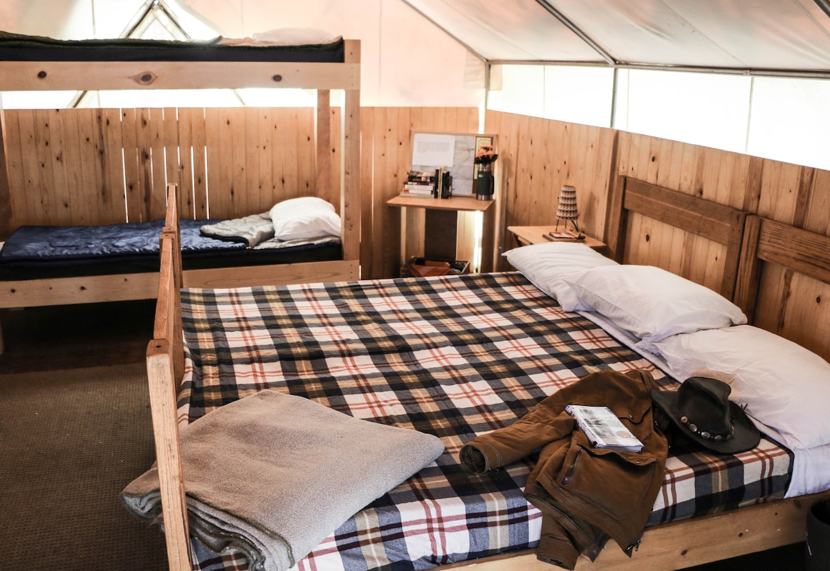 探险墙帐篷小木屋- "Lynx"