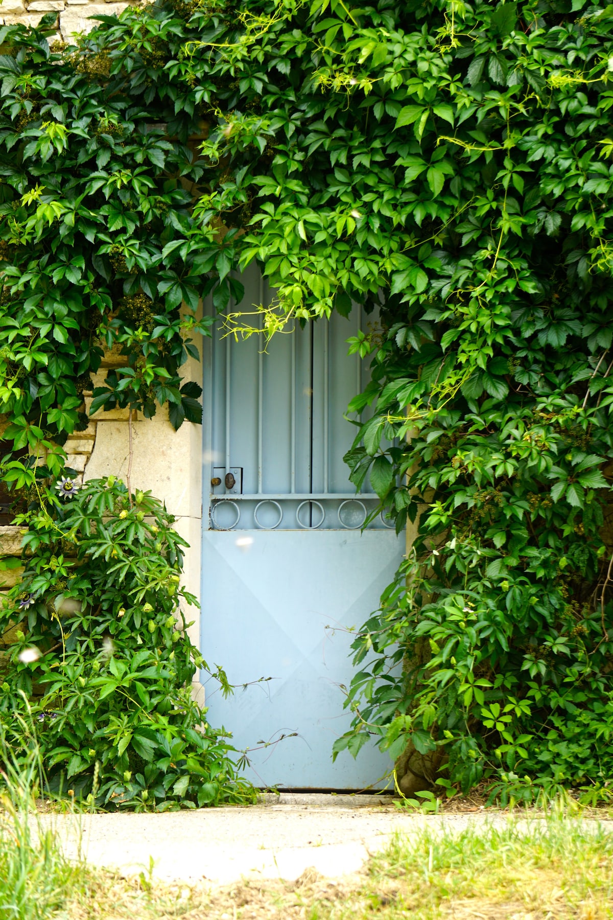 La Maison Jaune