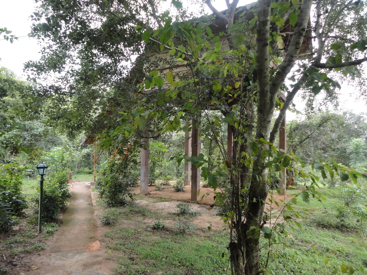 The Tree生态度假村Sigiriya酒店