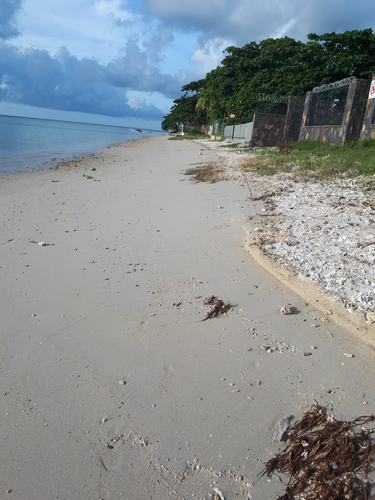 巴达米耶（ Badamier ）海滩（海滩）