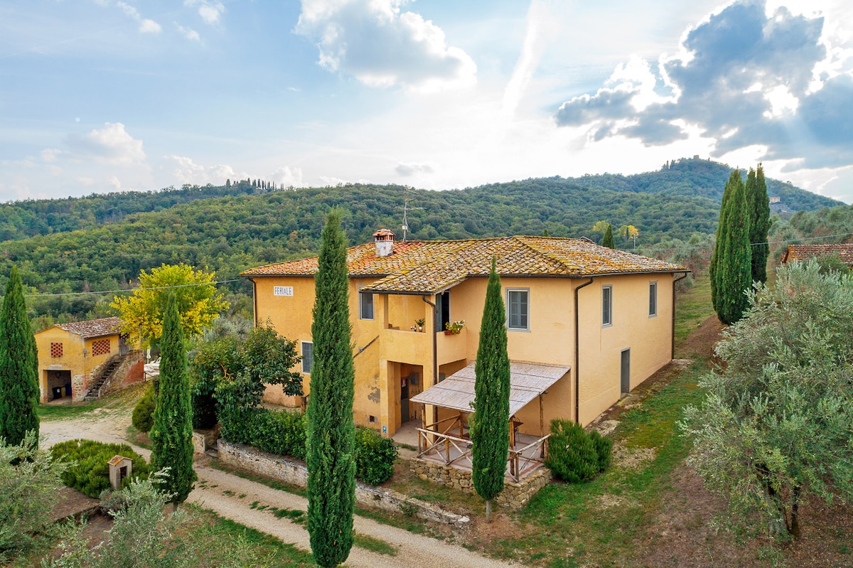 Feriale I. Petrolo Winery. 游泳池、无线网络、葡萄园