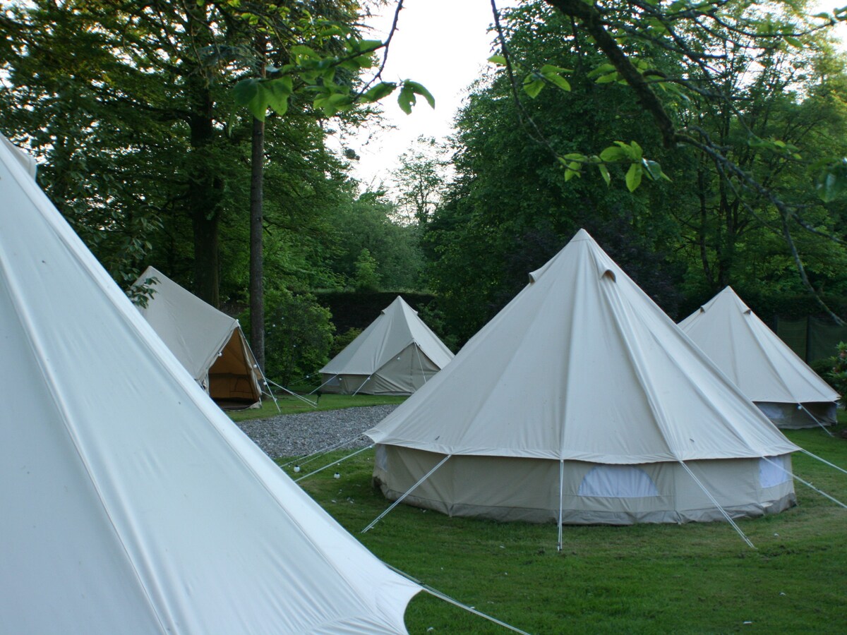 Glamping Tents with separate Bathroom