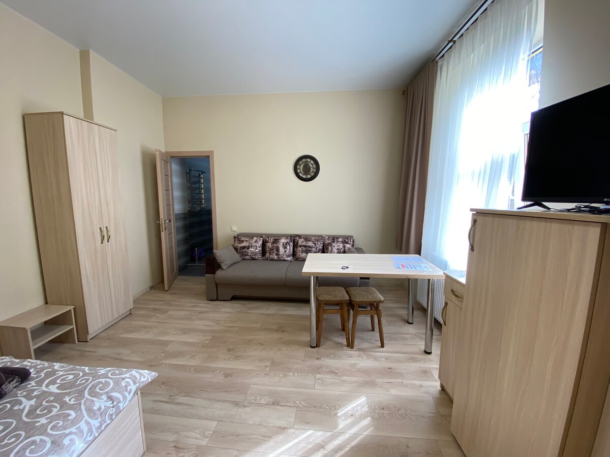单卧公寓（ 4间卧室公寓中的1间） Doroshenko街， 25