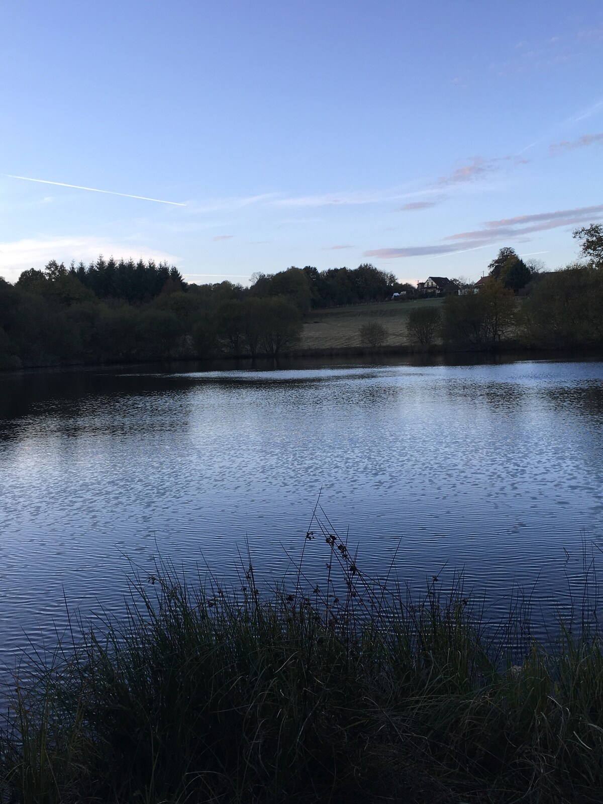 Natural Fishing lake with forest