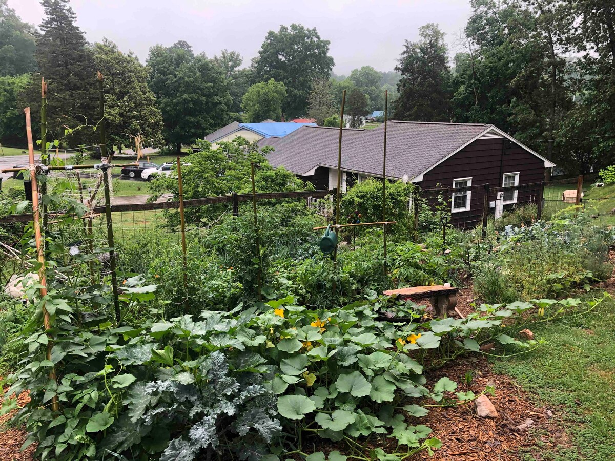 South Knoxville home with patio and trail access